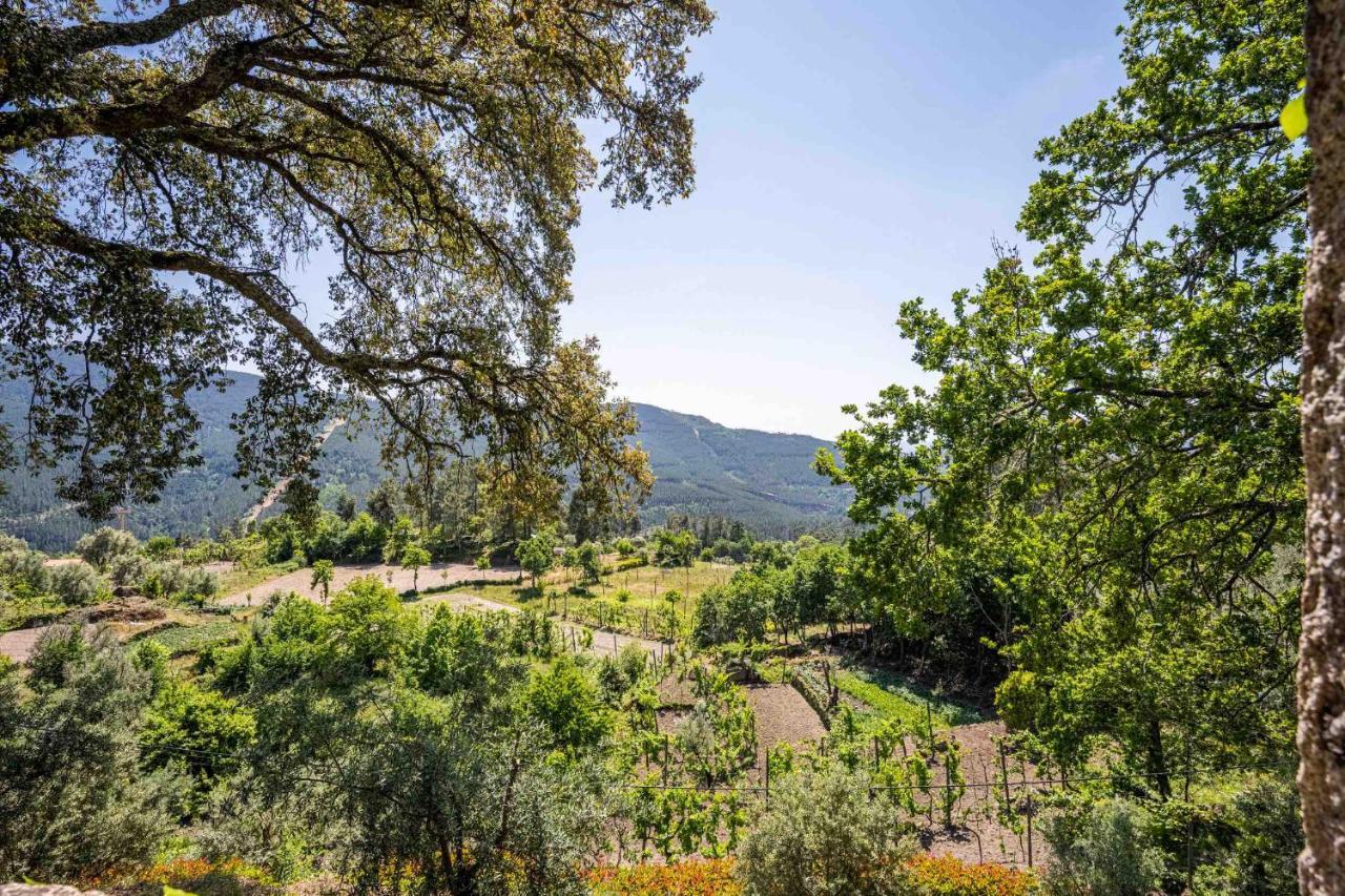 Quinta Da Baldieira Mondim de Basto Exteriér fotografie