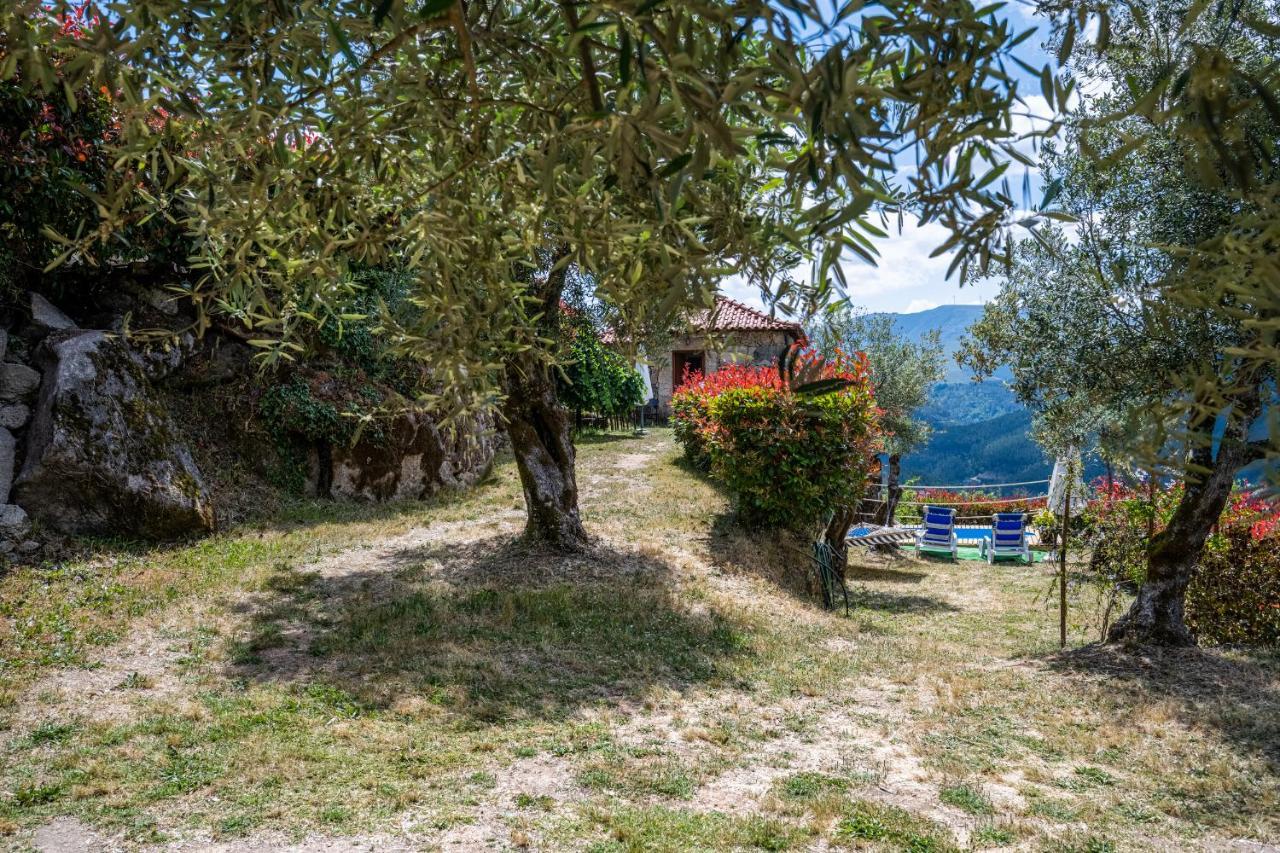 Quinta Da Baldieira Mondim de Basto Exteriér fotografie