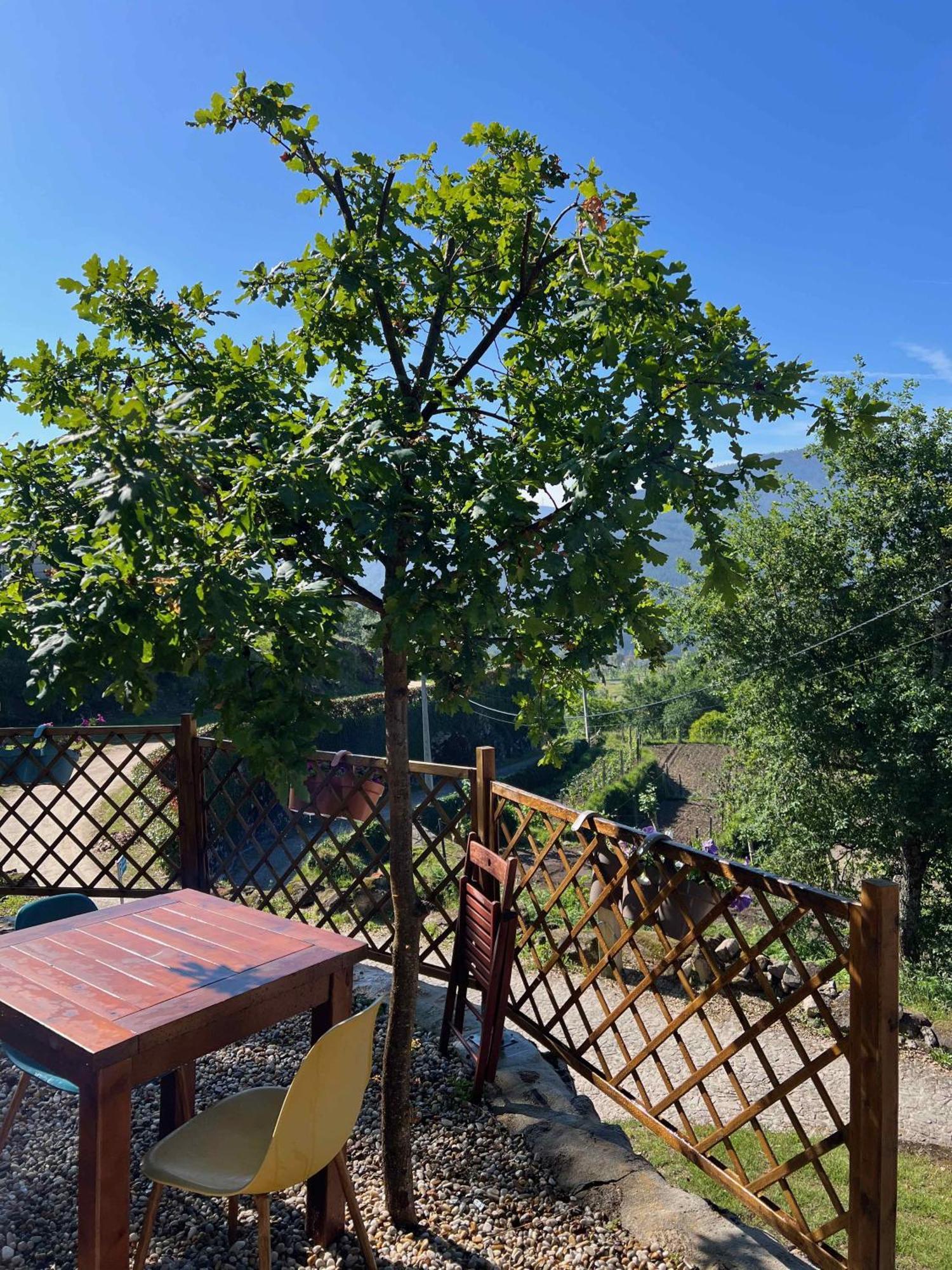 Quinta Da Baldieira Mondim de Basto Exteriér fotografie