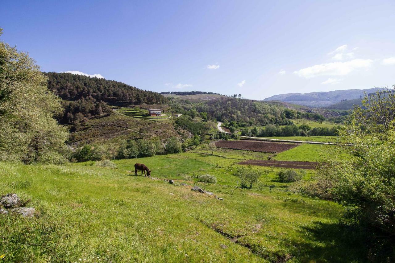 Quinta Da Baldieira Mondim de Basto Exteriér fotografie